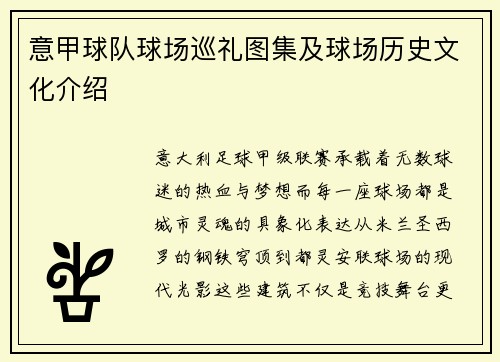 意甲球队球场巡礼图集及球场历史文化介绍